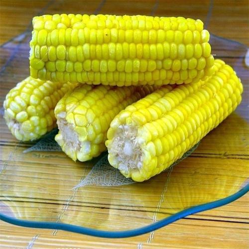 供应农教授农副产品玉米